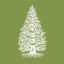 Expeditions: Arnold Arboretum - AppWisp.com