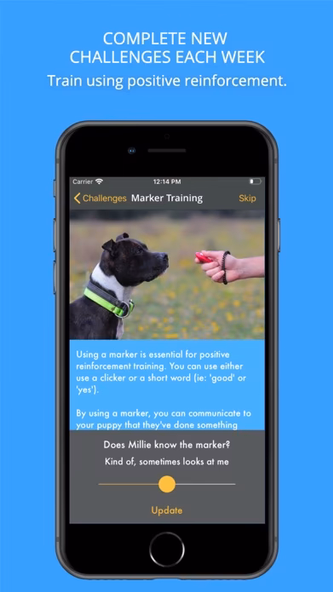 Social Puppy: Dog Training App Screenshot 2 - AppWisp.com Social Puppy: Dog Training App Screenshot 2 - AppWisp.com
