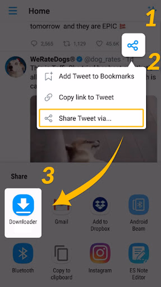 Video Downloader & GIF Saver Screenshot 1 - AppWisp.com Video Downloader & GIF Saver Screenshot 1 - AppWisp.com
