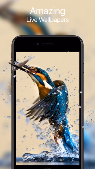 Your Live Wallpapers Screenshot 1 - AppWisp.com Your Live Wallpapers Screenshot 1 - AppWisp.com