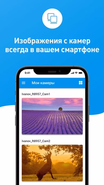 Вист он-Лайн (Volgaspot) Screenshot 3 - AppWisp.com Вист он-Лайн (Volgaspot) Screenshot 3 - AppWisp.com