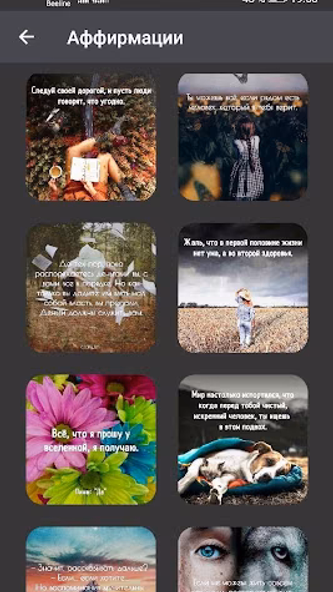 Мудрые мысли и слова о жизни н Screenshot 4 - AppWisp.com Мудрые мысли и слова о жизни н Screenshot 4 - AppWisp.com