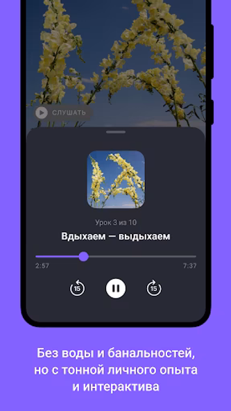 Учебник: курсы про деньги Screenshot 4 - AppWisp.com Учебник: курсы про деньги Screenshot 4 - AppWisp.com