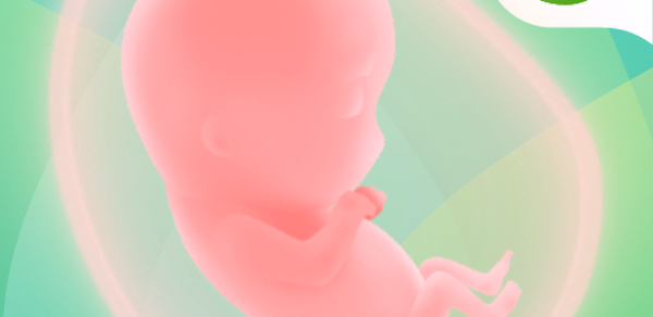Pregnancy Tracker App | Glow Header - AppWisp.com Pregnancy Tracker App | Glow Header - AppWisp.com