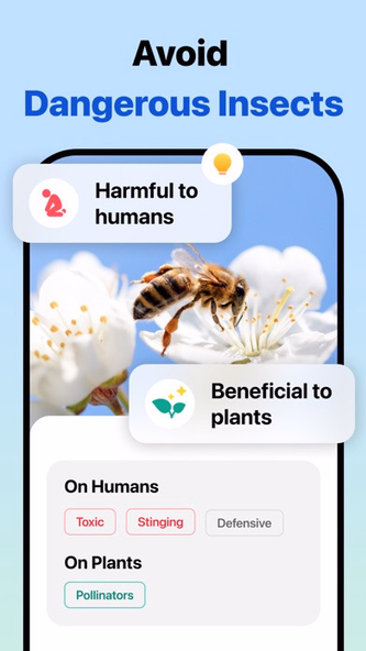 Picture Insect: Bug Identifier Screenshot 3 - AppWisp.com Picture Insect: Bug Identifier Screenshot 3 - AppWisp.com