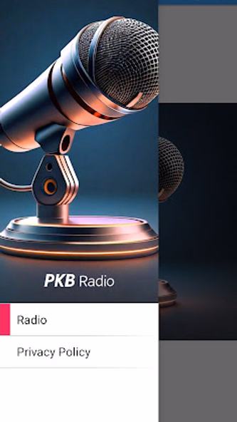 PKB Radio Screenshot 4 - AppWisp.com