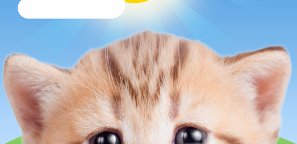 Weather Kitty - App & Widget Header - AppWisp.com Weather Kitty - App & Widget Header - AppWisp.com