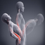 low back pain exercises - AppWisp.com