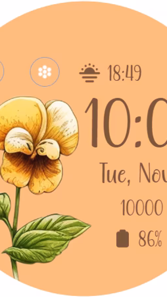 Retro Flower Screenshot 2 - AppWisp.com Retro Flower Screenshot 2 - AppWisp.com