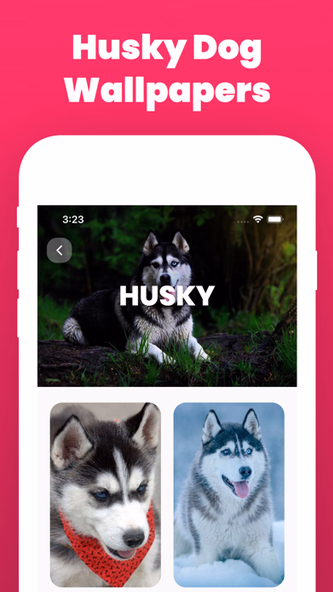 Dog Wallpaper and Backgrounds Screenshot 4 - AppWisp.com Dog Wallpaper and Backgrounds Screenshot 4 - AppWisp.com