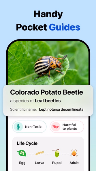 Picture Insect: Bug Identifier Screenshot 4 - AppWisp.com Picture Insect: Bug Identifier Screenshot 4 - AppWisp.com