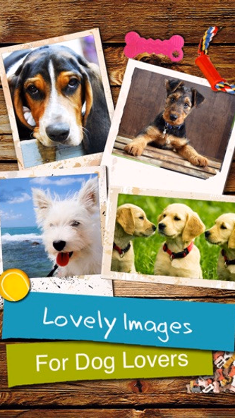 Dogs - Everything for Dog Lovers! Screenshot 1 - AppWisp.com Dogs - Everything for Dog Lovers! Screenshot 1 - AppWisp.com