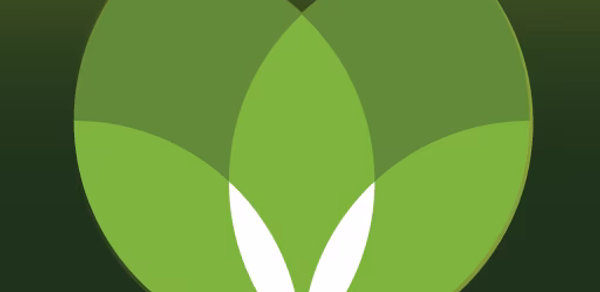 Табрис: бонусы и акции Header - AppWisp.com Табрис: бонусы и акции Header - AppWisp.com