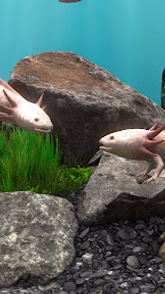 Fish Farm 4: 3D Aquarium Screenshot 3 - AppWisp.com Fish Farm 4: 3D Aquarium Screenshot 3 - AppWisp.com