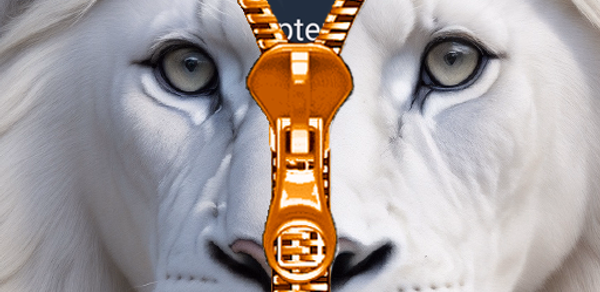 Wild Kitty Zipper Lock Screen Header - AppWisp.com Wild Kitty Zipper Lock Screen Header - AppWisp.com