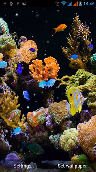 Aquarium Live Wallpaper Screenshot 3 - AppWisp.com Aquarium Live Wallpaper Screenshot 3 - AppWisp.com