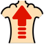 SitUpStraight Premium - AppWisp.com