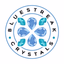 Bluestreak Crystals - AppWisp.com
