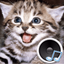 Animal sounds. Learn and play. - AppWisp.com
