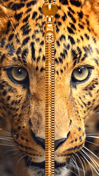 Wild Kitty Zipper Lock Screen Screenshot 4 - AppWisp.com Wild Kitty Zipper Lock Screen Screenshot 4 - AppWisp.com