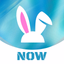 VoVoo Now - Live Video Chat - AppWisp.com