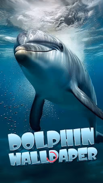 dolphin wallpaper Screenshot 1 - AppWisp.com dolphin wallpaper Screenshot 1 - AppWisp.com