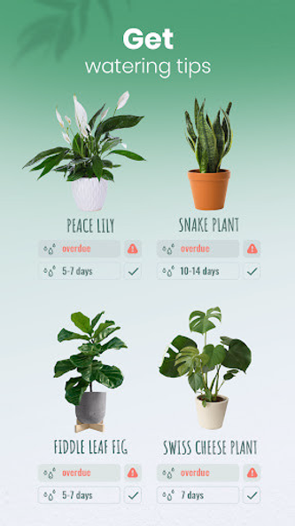 Blossom - Plant Identifier Screenshot 4 - AppWisp.com Blossom - Plant Identifier Screenshot 4 - AppWisp.com