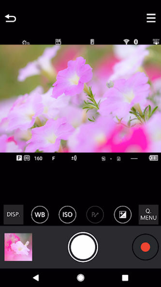 Panasonic LUMIX Sync Screenshot 3 - AppWisp.com Panasonic LUMIX Sync Screenshot 3 - AppWisp.com