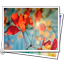 Image Gallery - AppWisp.com