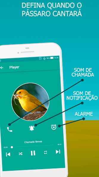 Canary bird singing Screenshot 2 - AppWisp.com Canary bird singing Screenshot 2 - AppWisp.com