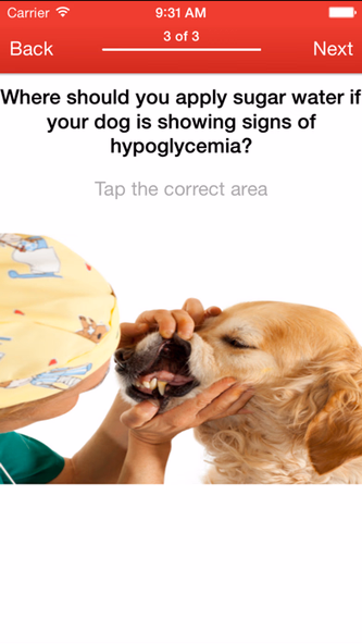 Pet First Aid: Screenshot 4 - AppWisp.com Pet First Aid: Screenshot 4 - AppWisp.com