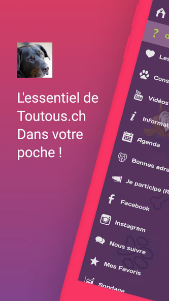 Toutous.ch Screenshot 1 - AppWisp.com Toutous.ch Screenshot 1 - AppWisp.com