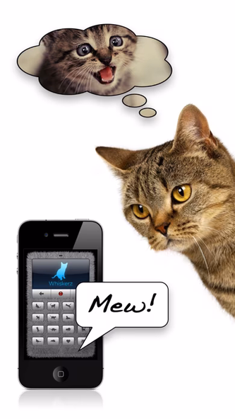 Human-to-Cat Translator Screenshot 1 - AppWisp.com Human-to-Cat Translator Screenshot 1 - AppWisp.com