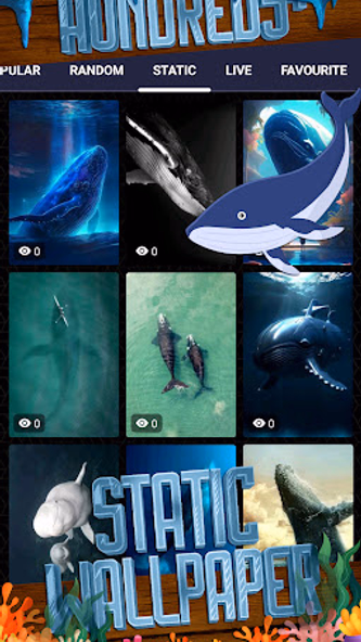 whale wallpaper Screenshot 4 - AppWisp.com whale wallpaper Screenshot 4 - AppWisp.com