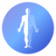 Abody.ai: Body Measurement app - AppWisp.com