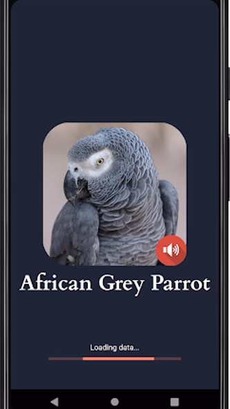 African Grey Parrot Sounds Screenshot 2 - AppWisp.com African Grey Parrot Sounds Screenshot 2 - AppWisp.com