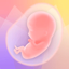 Nurture Pregnancy Week by Week - AppWisp.com