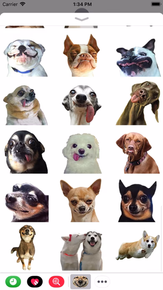 Funny Doge Animated Stickers Screenshot 4 - AppWisp.com Funny Doge Animated Stickers Screenshot 4 - AppWisp.com
