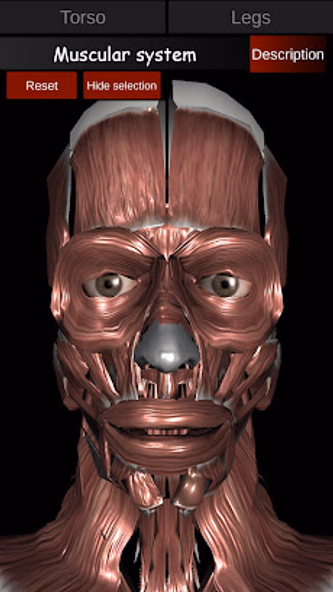 Muscular System 3D (anatomy) Screenshot 1 - AppWisp.com Muscular System 3D (anatomy) Screenshot 1 - AppWisp.com