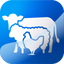 Widam - ودام - AppWisp.com