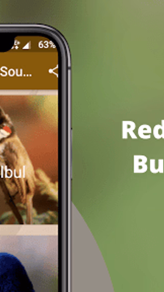 Red-whiskered Bulbul Sounds Screenshot 1 - AppWisp.com Red-whiskered Bulbul Sounds Screenshot 1 - AppWisp.com