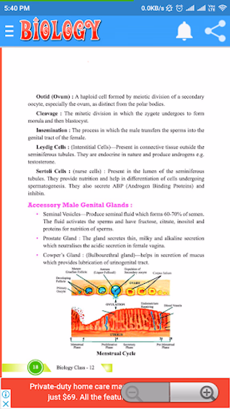 Class 12 Biology Notes Screenshot 4 - AppWisp.com Class 12 Biology Notes Screenshot 4 - AppWisp.com