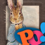 PopOut! The Tale of Peter Rabbit - Potter - AppWisp.com