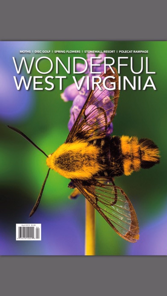 Wonderful West Virginia Screenshot 2 - AppWisp.com Wonderful West Virginia Screenshot 2 - AppWisp.com