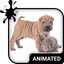 Cute Puppies Wallpaper Theme - AppWisp.com