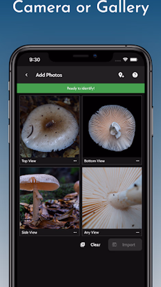 ShroomID - Identify Mushrooms! Screenshot 3 - AppWisp.com