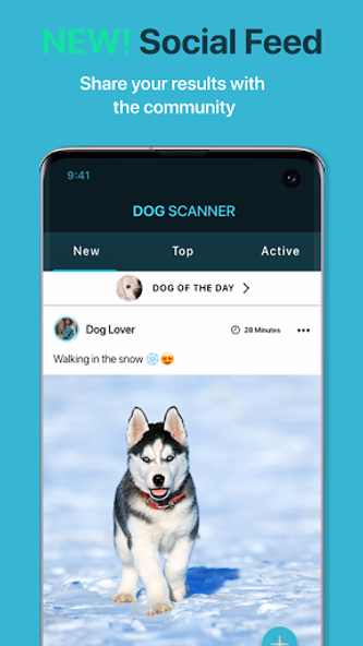 Dog Scanner: Breed Recognition Screenshot 4 - AppWisp.com Dog Scanner: Breed Recognition Screenshot 4 - AppWisp.com