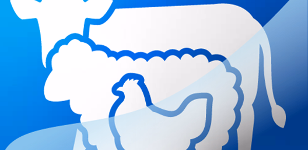 Widam - ودام Header - AppWisp.com Widam - ودام Header - AppWisp.com