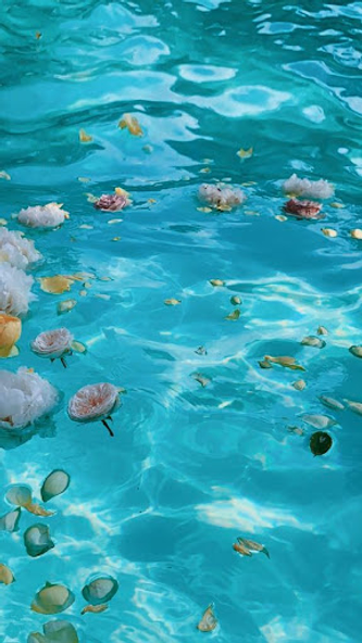 Water Screenshot 2 - AppWisp.com Water Screenshot 2 - AppWisp.com