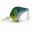 Catch Largemouth Bass 2018 - AppWisp.com